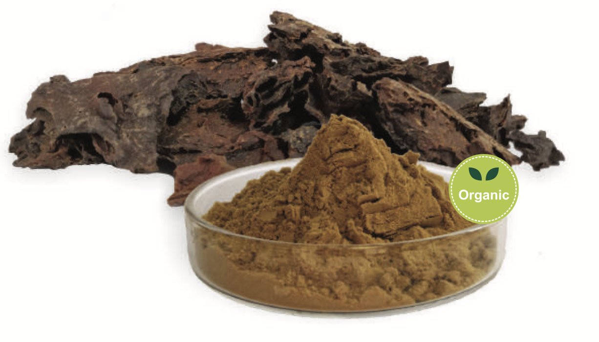 Extract de cordyceps