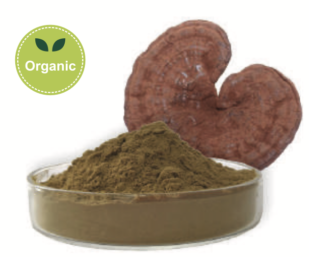 Extract de ganoderma