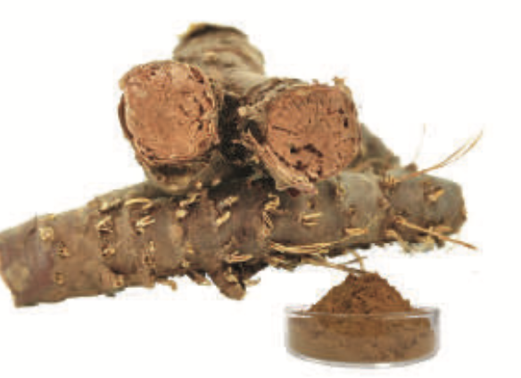 Extract rodiola